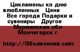 Цикламены ко дню влюбленных › Цена ­ 180 - Все города Подарки и сувениры » Другое   . Мурманская обл.,Мончегорск г.